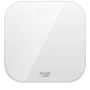Adler Bathroom Scale | AD 8188 | Maximum weight  capacity  180 kg | Accuracy 100 g | White