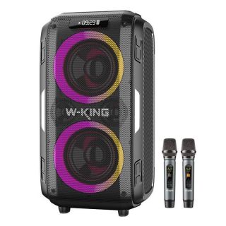 - W-KING Wireless Bluetooth Speaker W-KING T9 Pro 120W + 2 microphones  black