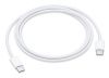 Bezvadu ierīces un gadžeti Apple USB-C Charge Cable 1 m 
 White balts 
