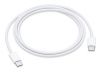 Беспроводные устройства и гаджеты Apple USB-C Charge Cable 1 m 
 White balts 