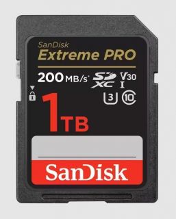 -&nbsp;SANDISK BY WESTERN DIGITAL MEMORY SDXC 1TB UHS-I / SDSDXXD-1T00-GN4IN SANDISK