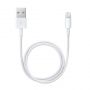 Apple Lightning to USB Cable 1m Model A1480