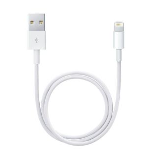 Apple&nbsp;Lightning to USB Cable 1m Model A1480