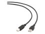 Cable USB2 AM-BM 1 m, Black, USB B, USB A