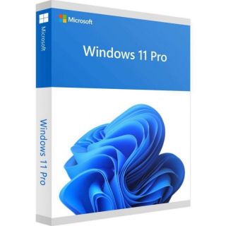 Microsoft FQC-10528 Win 11 Pro 64Bit Eng Intl 1pk DSP OEI DVD