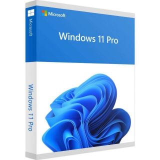 Microsoft&nbsp;FQC-10528 Win 11 Pro 64Bit Eng Intl 1pk DSP OEI DVD