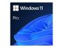 FQC-10528 Win 11 Pro 64Bit Eng Intl 1pk DSP OEI DVD