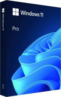 Microsoft Windows 11 Pro 	HAV-00163, USB Flash drive, Full Packaged Product  FPP , 64-bit, English