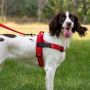 OEM Dog harness REFLECTIVE SILK size XS red