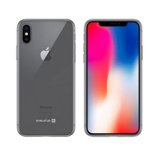 Evelatus Evelatus Apple iPhone Xs MAX Silicone Case Transparent