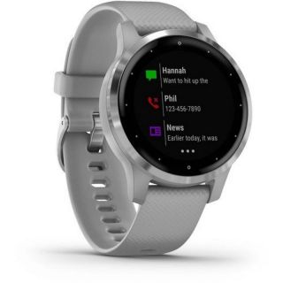 Garmin vivoactive 4S GPS Wi-Fi Powder