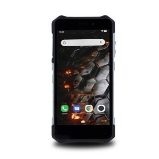 MyPhone Hammer Iron 3 Dual silver Extreme Pack sudrabs