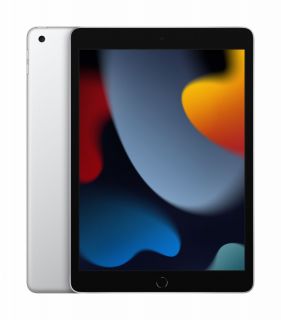Apple iPad 9th Gen 10.2" Wi-Fi 256GB Silver MK2P3HC/A sudrabs