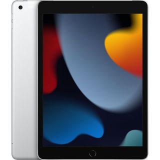 Apple iPad 9th Gen 10.2" Wi-Fi+Cellular 64GB Silver MK493HC/A sudrabs
