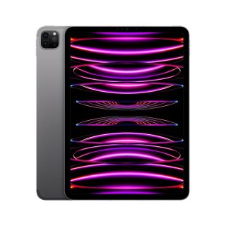 Apple iPad Pro 11" 4th Gen Wi-Fi+Cellular 2TB Space Grey MNYL3HC/A pelēks