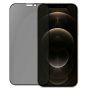 Evelatus Apple iPhone 12 PRO Max Privacy 2.5D Silk Full Cover Japan Glue Anti-Static