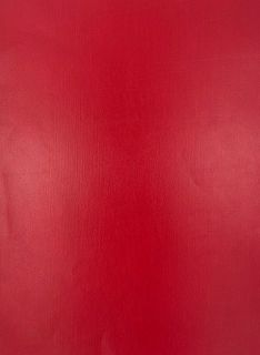 Evelatus Universal Classic Cowhide A3 Film for Screen Cutter Red