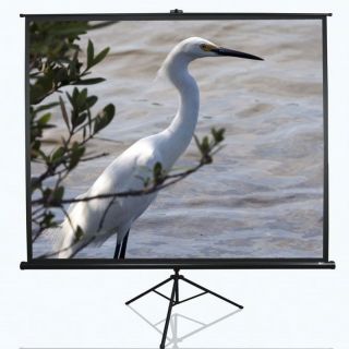 -&nbsp;Elite Screens Tripod Series T120UWV1 Diagonal 120