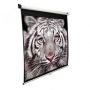 - Elite Screens M139NWX Diagonal 353