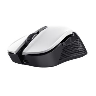Trust&nbsp;MOUSE USB OPTICAL WRL YBAR / GTX923W 24889
