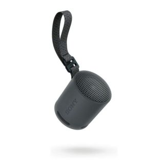 Sony&nbsp;SRS-XB100 Portable Wireless Speaker Black