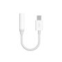 Dudao Dudao audio adapter headphone adapter from USB Type C to mini jack 3.5 mm white  L16CPro white