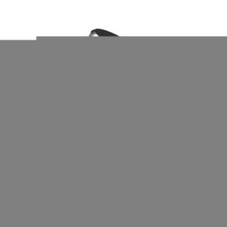 -&nbsp;Dudao Dudao adapter from USB Type-C to USB black  L16AC black