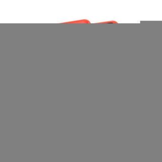 -&nbsp;Wozinsky Red
