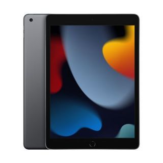 Apple iPad 10.2' Wi-Fi 256GB Space Gray pelēks
