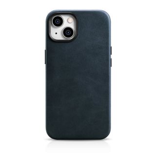 -&nbsp;iCarer Blue