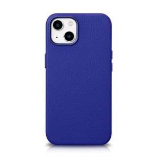 -&nbsp;iCarer Blue