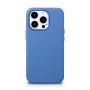 - iCarer Blue