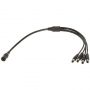 - GENWAY POWER SPLITTER 12V / WWG-5.5 / 4