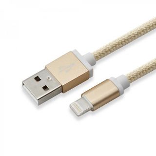 - Sbox 
 
 USB 2.0 8 Pin IPH7-G gold zelts