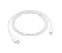 Apple MQGH2ZM / A USB-C / Lightning Data Cable 2m White