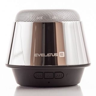 Evelatus Evelatus - Bluetooth Speaker ESP01 Silver