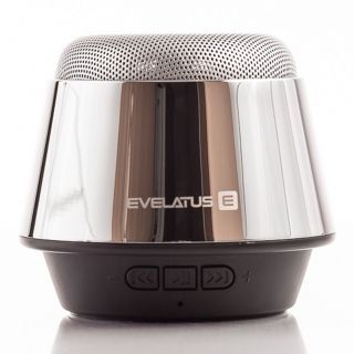 Evelatus Bluetooth Speaker ESP01 Silver sudrabs