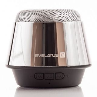 Evelatus Bluetooth Speaker ESP01 Silver