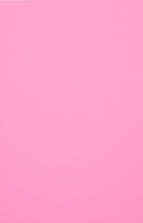 Evelatus Universal Color Shinning Film for Screen Cutter Light Pink rozā