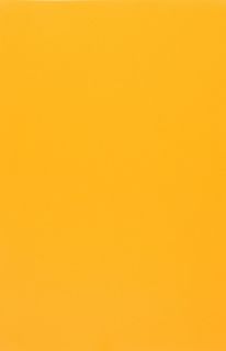 Evelatus Universal 3M Universal Matte Color Film for Screen Cutter Yellow