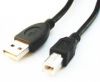 Bezvadu ierīces un gadžeti - CCP-USB2-AMBM-6 1.8 m, Black, USB 2.0 A-plug B-plug cable 