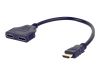 Bezvadu ierīces un gadžeti GEMBIRD DSP-2PH4-04 adaptor HDMI 