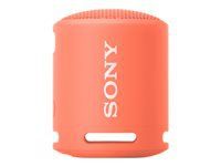Sony SRSXB13 EXTRA BASS Portable Wrls