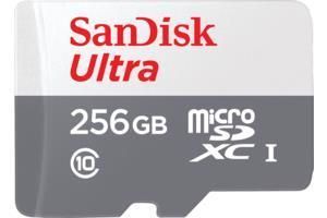 - MEMORY MICRO SDXC 256GB UHS-I / SDSQUNR-256G-GN6TA SANDISK
