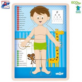 - Woody 91922 Eko koka attīstošā puzle Cilvēka ķermenis Zēns  EN versija   12gab.  bērniem no 3 gadiem +  22.5x30x0.8см