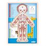 Woody 91922 Eko koka attīstošā puzle Cilvēka ķermenis Zēns  EN versija   12gab.  bērniem no 3 gadiem +  22.5x30x0.8см