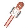 Riff WS-858 Karaoke Bērnu & Vecāku Prieka Efektu Mikrofons ar skaļruņiem & Ierakstu Micro USB AUX Rozā Zeltains